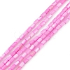 Natural Freshwater Shell Dyed Beads Strands SHEL-M018-12-10-1