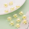 Transparent Acrylic Beads TACR-S152-02D-SS2105-6