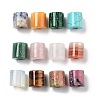 Natural & Synthetic Mixed Gemstone European Beads G-P520-05-1