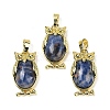Natural Sodalite Pendant KK-F887-02G-20-1