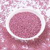 MIYUKI Round Rocailles Beads SEED-JP0008-RR0556-2