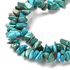 Natural Turquoise Chip Beads Strands G-D093-A01-4