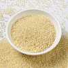 MIYUKI Round Rocailles Beads SEED-X0056-RR2215-2