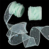 Polyester Deco Mesh Ribbons OCOR-TAC0024-004G-4