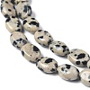 Natural Dalmatian Jasper Beads Strands G-Z006-A31-3