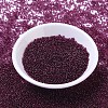 MIYUKI Round Rocailles Beads X-SEED-G007-RR1312-2
