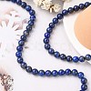 Natural Lapis Lazuli Beads Strands G-G099-8mm-7-5