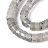 Natural Labradorite Beads Strands G-F631-A38-4