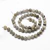 Natural Labradorite Beads Strands G-D840-10-6mm-2