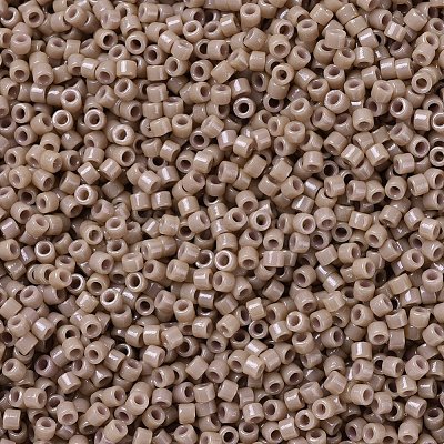 MIYUKI Delica Beads X-SEED-J020-DB2105-1