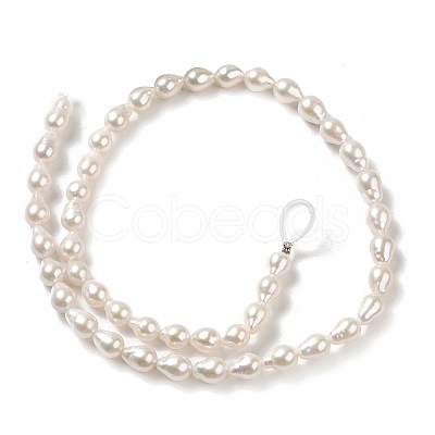 Natural Cultured Freshwater Pearl Beads Strands PEAR-E016-012-1