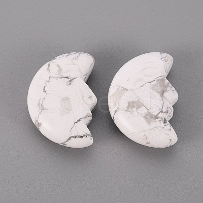 Natural Howlite Beads G-T132-028-1