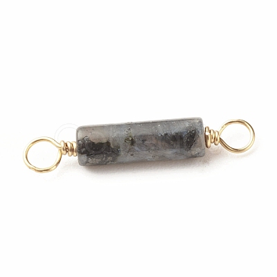 Natural Larvikite Connector Charms PALLOY-JF01454-05-1
