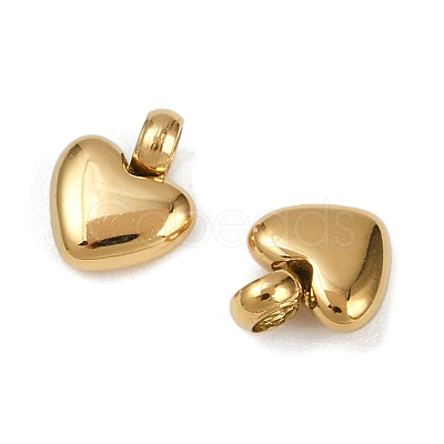 304 Stainless Steel Charms STAS-R170-01G-02-1