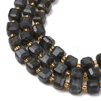 Natural Labradorite Beads Strands GG-CBAC972-A13-01-1
