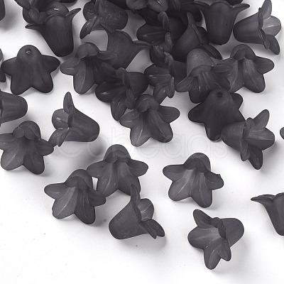 Transparent Acrylic Beads PLF018-17-1