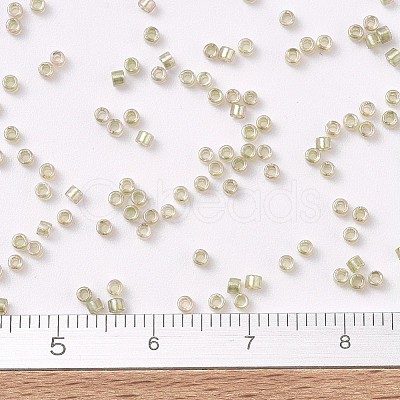 MIYUKI Delica Beads X-SEED-J020-DB1766-1
