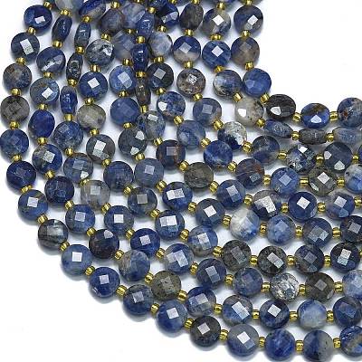 Natural Sodalite Beads Strands G-K389-B31-01-1
