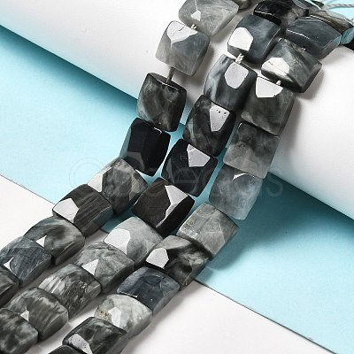Natural Eagle Eye Stone Beads Strands G-G980-12-1