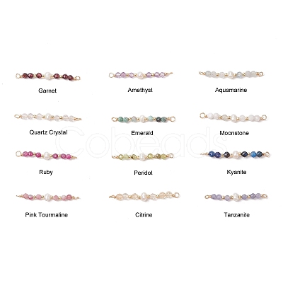 12Pcs 12 Styles Faceted Round Natural Mixed Stone Beaded Connector Charms PALLOY-JF03557-1