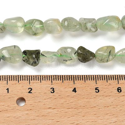 Natural Prehnite Beads Strands G-P497-01E-39-1