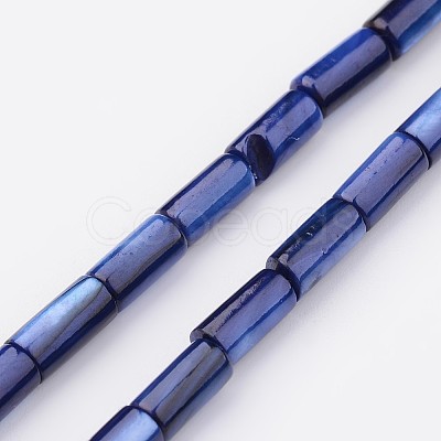 Natural Shell Bead Strands BSHE-P016-10-1