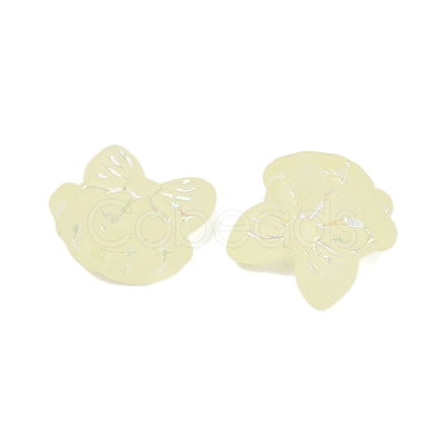 Frosted Transparent Acrylic Beads OACR-P029-18B-03-1