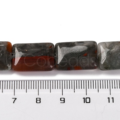 Natural African Bloodstone Beads Strands G-T047-B06-01-1