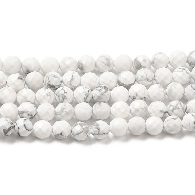 Natural Howlite Beads Strands G-E608-A01-C-1