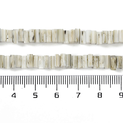 Handmade Lampwork Beads Strands LAMP-Q037-02B-18-1