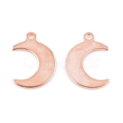 304 Stainless Steel Charms STAS-H557-31RG-1