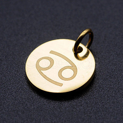 201 Stainless Steel Charms STAS-T049-T644-4G-1
