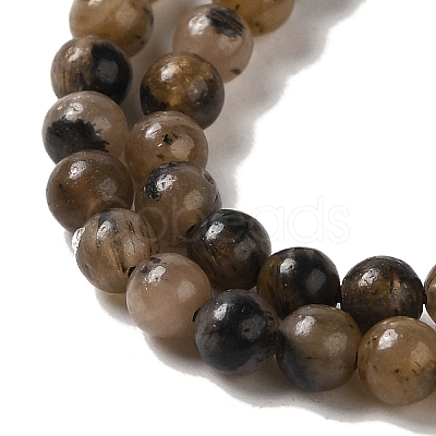 Natural Chiastolite Beads Strands G-Q161-A03-01-1