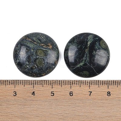 Natural Kambaba Jasper Cabochons G-H1596-FR-25mm-06-1