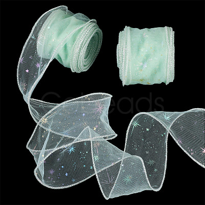Polyester Deco Mesh Ribbons OCOR-TAC0024-004G-1