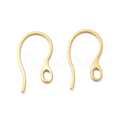 Ion Plating(IP) 304 Stainless Steel Earring Hooks STAS-E192-11G-1