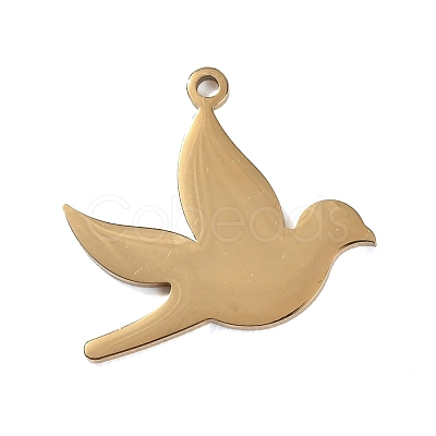 304 Stainless Steel Pendants SA-CBAE0F2-30C-G-1
