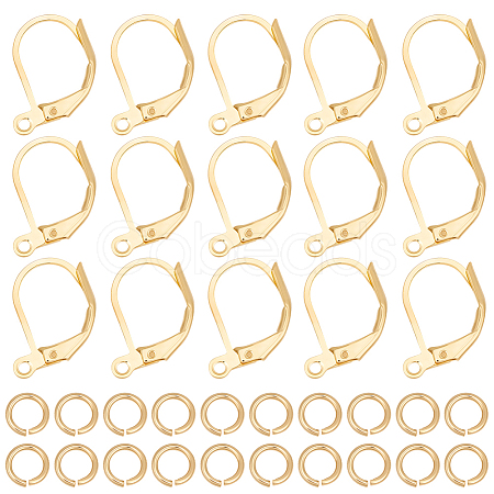 20Pcs Brass Leverback Earring Findings KK-BBC0023-86-1