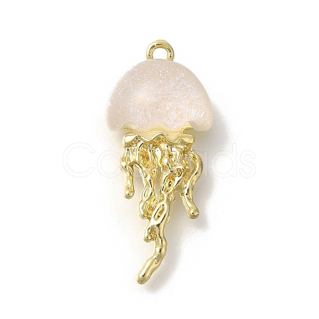 Alloy Pendants FIND-Z067-05G-10-1