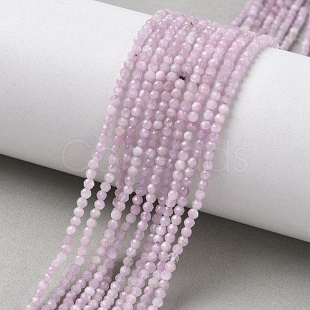 Natural Kunzite/Spodumene Beads Strands G-L651-C12-2mm-01-1