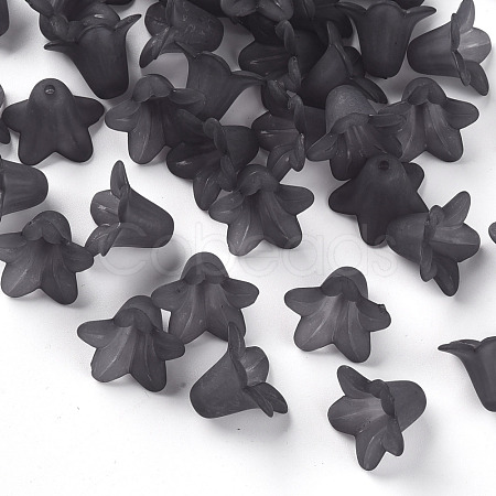 Transparent Acrylic Beads PLF018-17-1