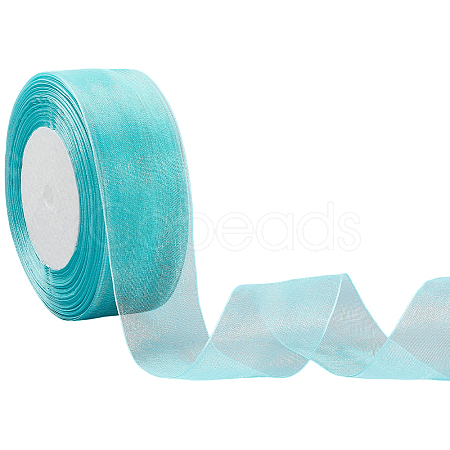 1 Rolls Sheer Organza Ribbon SRIB-CY0001-22B-06-1