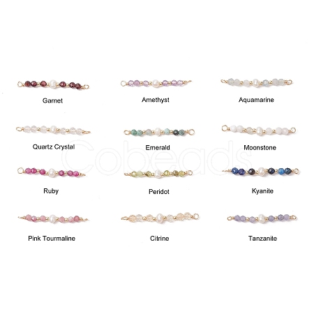 12Pcs 12 Styles Faceted Round Natural Mixed Stone Beaded Connector Charms PALLOY-JF03557-1