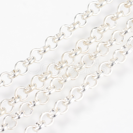 Iron Rolo Chain CH-S078-S-FF-1
