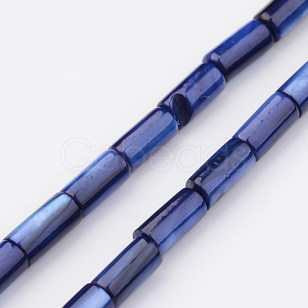 Natural Shell Bead Strands BSHE-P016-10-1