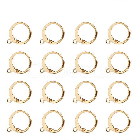304 Stainless Steel Leverback Earring Findings STAS-G081-62G-1