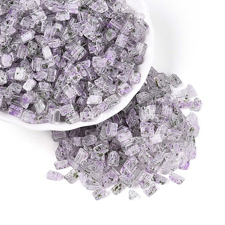 Transparent Spray Painted Glass Seed Beads SEED-L011-10A-20-1