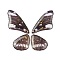 Translucent Resin Pendants Set, with Gold Foil, Butterfly Wing Charm, Coconut Brown, 23~39x19.5~24x2.5mm, Hole: 1mm, 4pcs/set