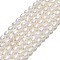 Natural Cultured Freshwater Pearl Beads Strands, Rice, Linen, 4~4.5x3~4mm, Hole: 0.5mm, about 76~77pcs/strand, 14.17''(36cm)