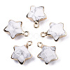 Natural Howlite Pendants G-N326-36L-1